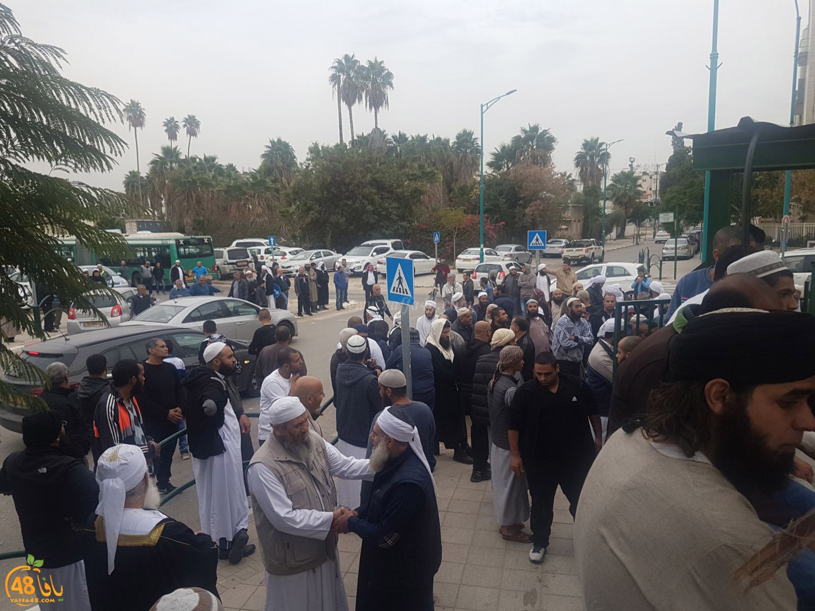 tasheeye3 om mhmoud (14).jpg